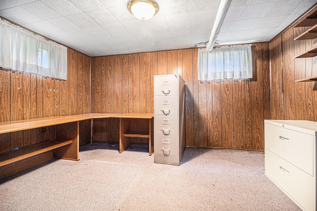 2551 Elmwood Ave, Ann Arbor, MI 48104 - basement with wooden walls and refrigerator