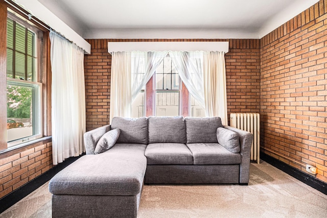 2551 Elmwood Ave, Ann Arbor, MI 48104 - carpeted living area featuring brick wall and radiator