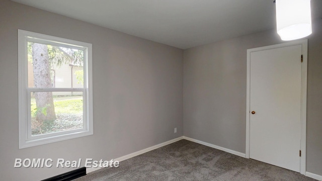 531 W Vienna St, Clio, MI 48420 - photo 24
