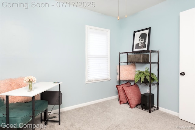 2404 Rowland Ave, Royal Oak, MI 48067 - office featuring carpet and baseboards