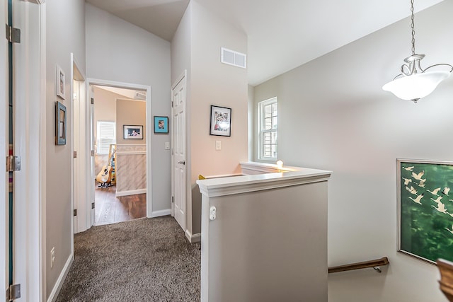 1327 Timmins Dr, Ann Arbor, MI 48103 - photo 28