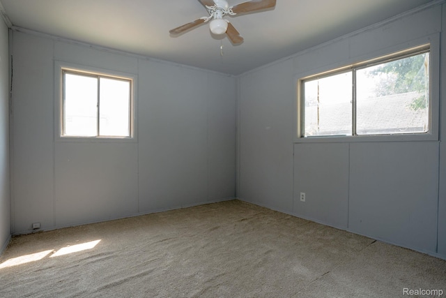 19520 Georgia St, Roseville, MI 48066 - photo 17