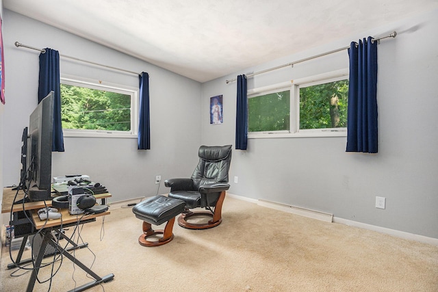 471 Alton Ave, Battle Creek, MI 49017 - photo 12
