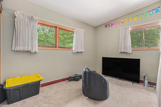 471 Alton Ave, Battle Creek, MI 49017 - photo 13