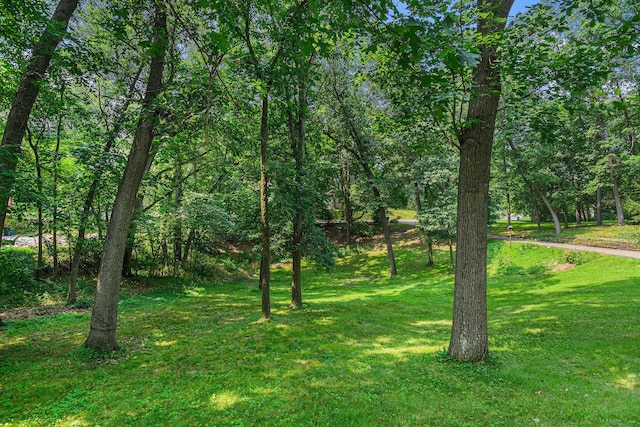 471 Alton Ave, Battle Creek, MI 49017 - photo 20