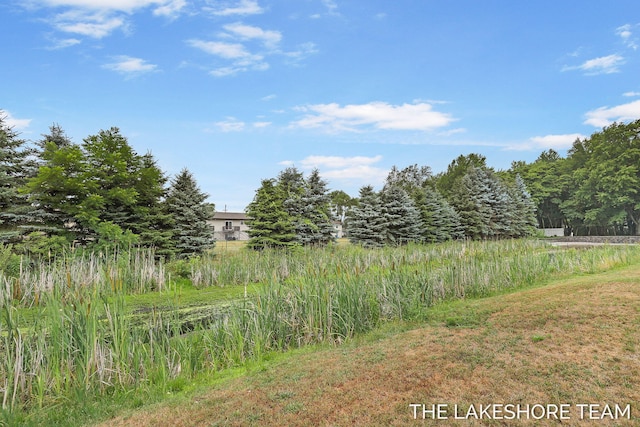 1238 Jayberry Dr, Holland, MI 49424 - photo 9