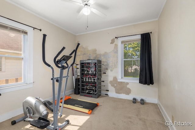 45 Murray St SW, Grand Rapids, MI 49548 - workout room featuring a ceiling fan, crown molding, and carpet