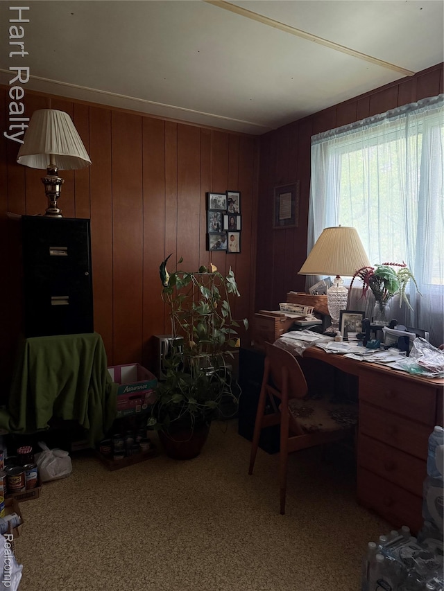 6455 Mayville Rd, Marlette, MI 48453 - photo 6