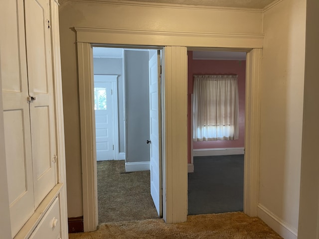 1208 Burr St, Jackson, MI 49201 - photo 33