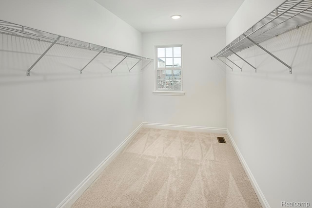 809 Cortland Ln, Troy, MI 48085 - spacious closet with light colored carpet