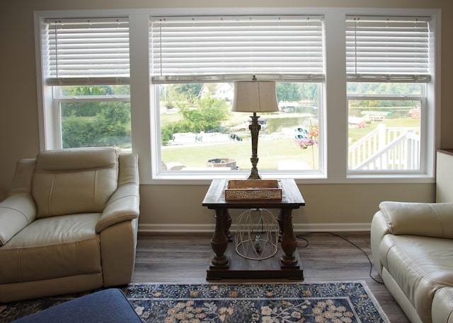 8440 Irish Mist, Onsted, MI 49265 - living area featuring wood finished floors and healthy amount of natural light