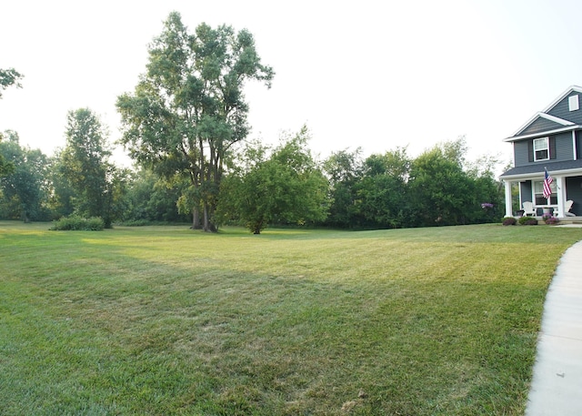 8440 Irish Mist, Onsted, MI 49265 - view of grassy yard