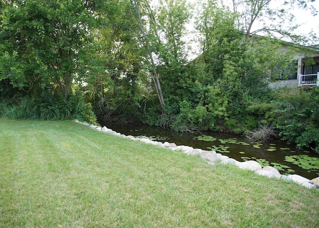 8440 Irish Mist, Onsted, MI 49265 - view of grassy yard