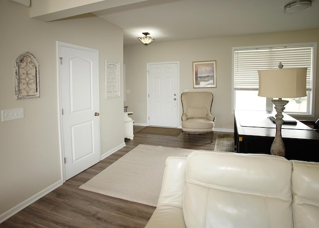 8440 Irish Mist, Onsted, MI 49265 - living room featuring baseboards and wood finished floors