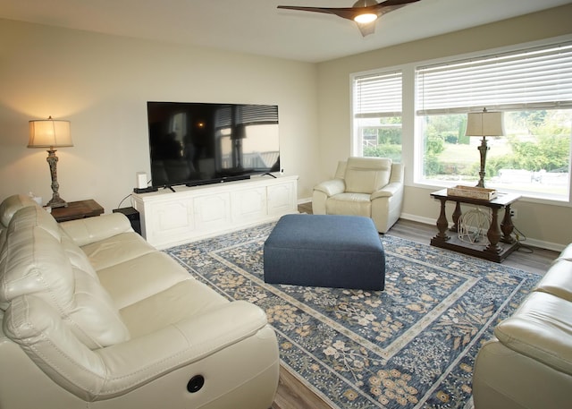 8440 Irish Mist, Onsted, MI 49265 - living area with a ceiling fan, healthy amount of natural light, and wood finished floors