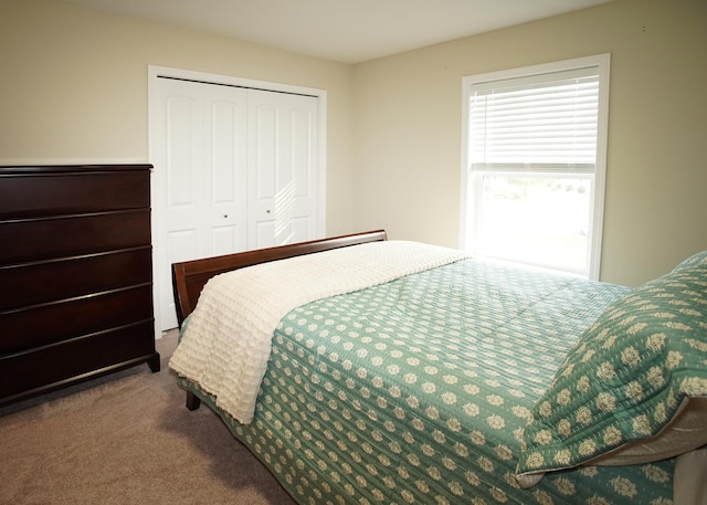 8440 Irish Mist, Onsted, MI 49265 - carpeted bedroom with a closet