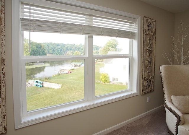 8440 Irish Mist, Onsted, MI 49265 - sitting room featuring a water view, carpet flooring, and healthy amount of natural light