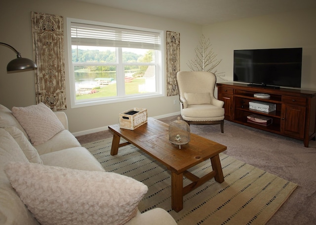 8440 Irish Mist, Onsted, MI 49265 - living area with light colored carpet and baseboards