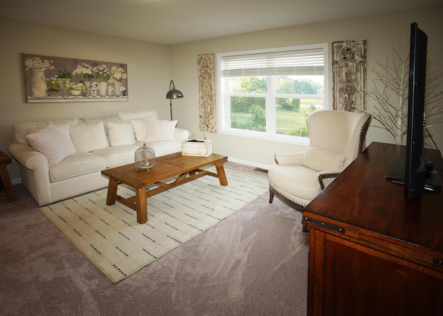 8440 Irish Mist, Onsted, MI 49265 - living room featuring carpet flooring