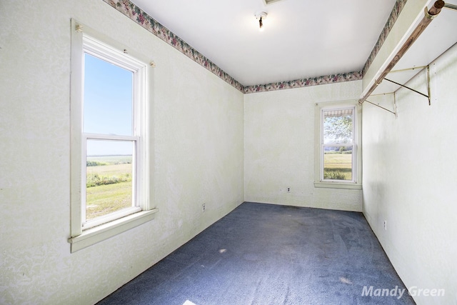 4651 E Pierce Rd, Ithaca, MI 48847 - empty room featuring plenty of natural light and carpet floors