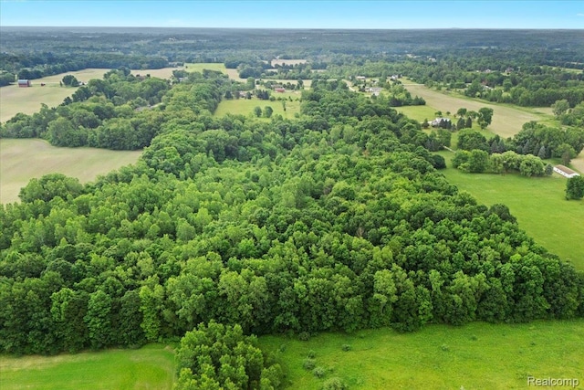 VL N Fleming Rd, Fowlerville, MI 48836 - photo 16