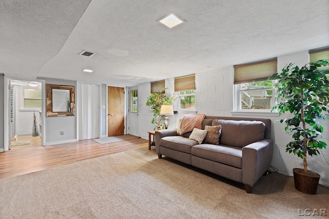 512 Seneca St, Tecumseh, MI 49286 - photo 20