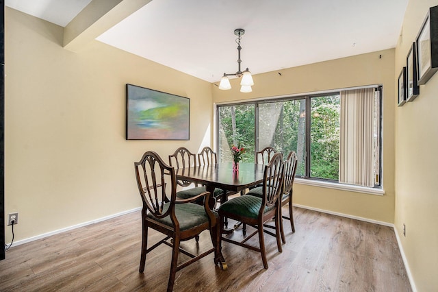 2150 Pauline Blvd Unit 203, Ann Arbor, MI 48103 - dining room with a chandelier and wood finished floors
