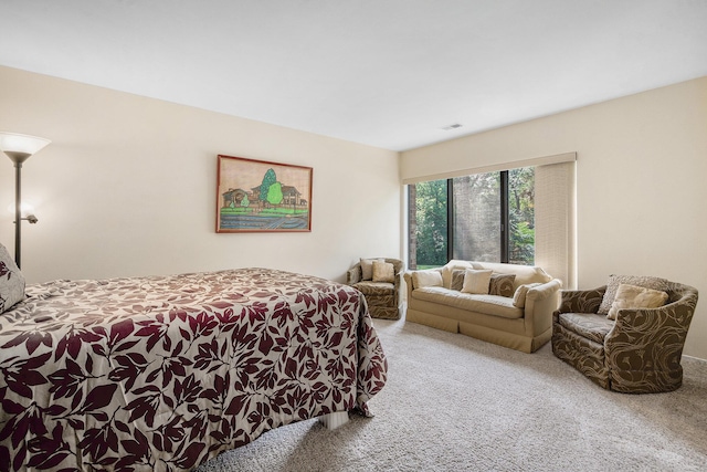 2150 Pauline Blvd Unit 203, Ann Arbor, MI 48103 - view of carpeted bedroom