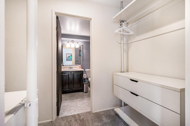 2150 Pauline Blvd Unit 203, Ann Arbor, MI 48103 - walk in closet featuring dark carpet and a sink