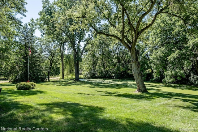 7317 Bircklan Dr, Canton, MI 48187 - photo 74