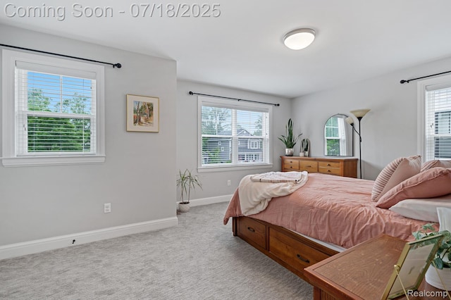 632 Millard Ave, Royal Oak, MI 48073 - photo 23
