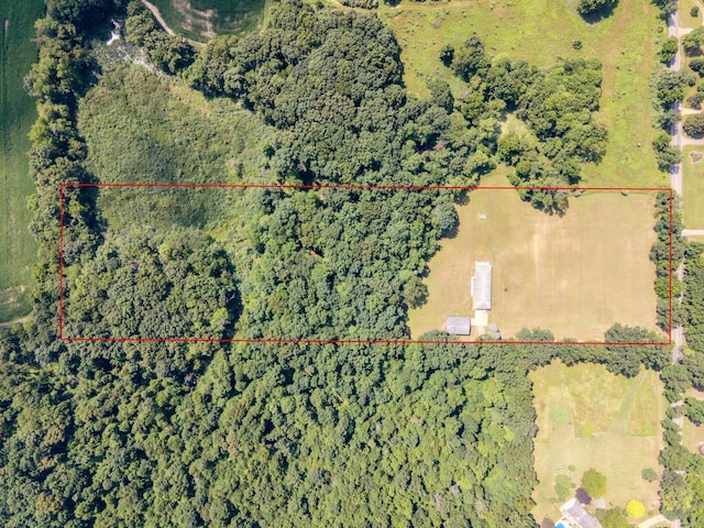 3801 Stillson Rd, Stockbridge, MI 49285 - photo 52