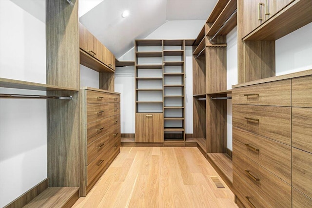 7462 Youngren Rd, Three Oaks, MI 49128 - spacious closet with light wood-style flooring and lofted ceiling