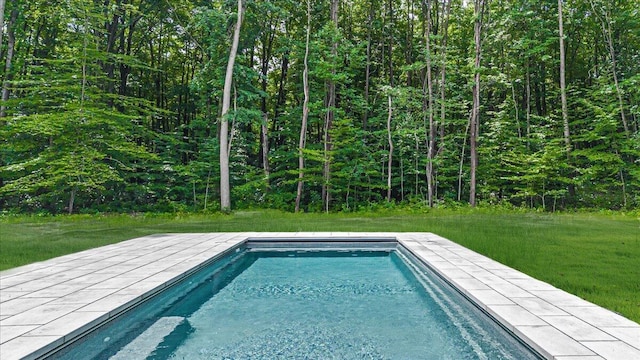 7462 Youngren Rd, Three Oaks, MI 49128 - swimming pool featuring a lawn and a forest view
