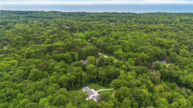 7462 Youngren Rd, Three Oaks, MI 49128 - view of property location with a forest and a nearby body of water