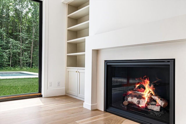 7462 Youngren Rd, Three Oaks, MI 49128 - detailed view of wood finished floors, a glass covered fireplace, and built in features