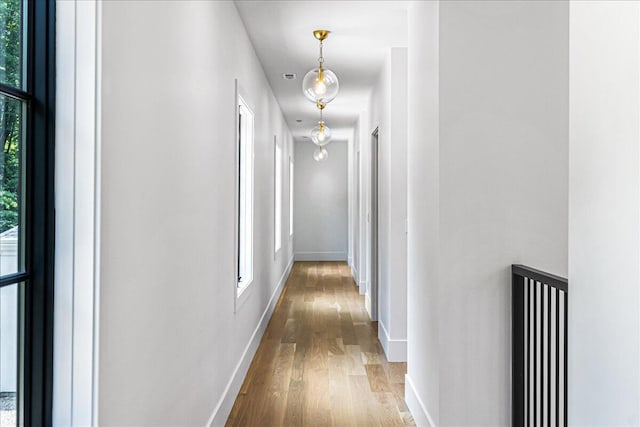 7462 Youngren Rd, Three Oaks, MI 49128 - hallway featuring wood finished floors and baseboards
