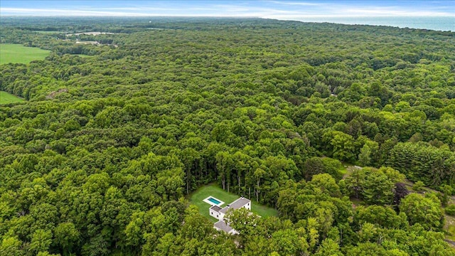 7462 Youngren Rd, Three Oaks, MI 49128 - bird's eye view of a forest
