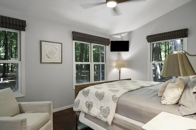 1227 Beech Dr, South Haven, MI 49090 - bedroom with wood finished floors, a ceiling fan, and lofted ceiling