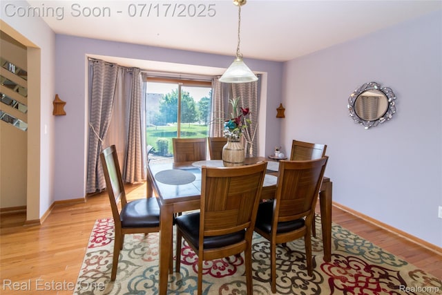 2603 Shagbark Ct, Canton, MI 48188 - photo 23
