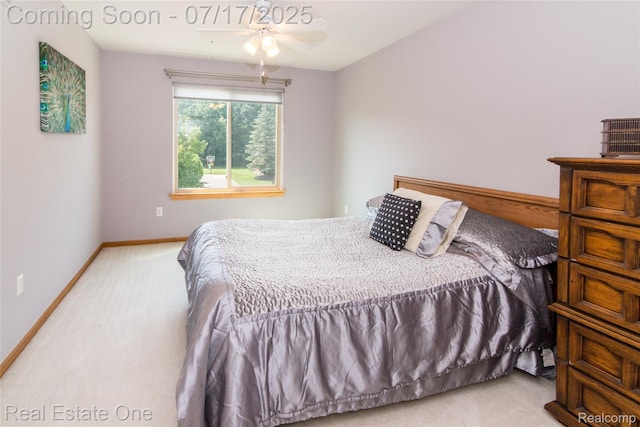 2603 Shagbark Ct, Canton, MI 48188 - photo 43
