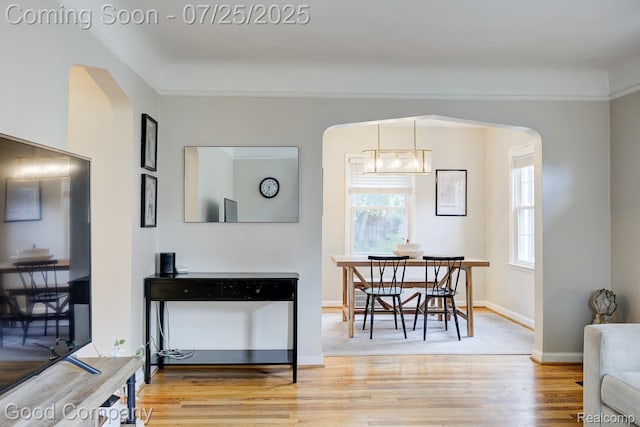 921 N Alexander Ave, Royal Oak, MI 48067 - photo 7