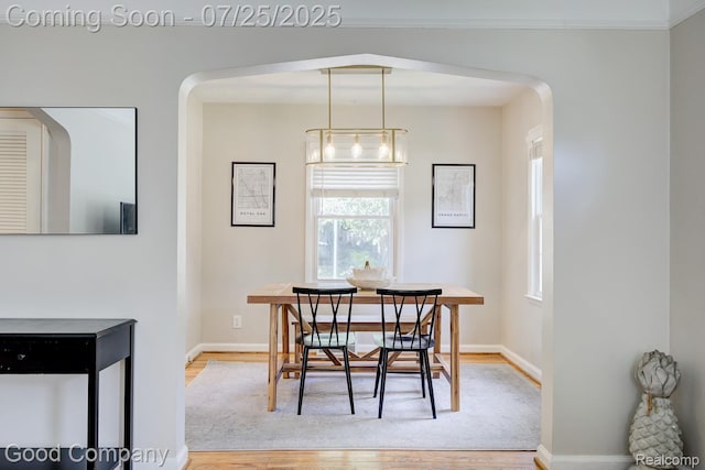 921 N Alexander Ave, Royal Oak, MI 48067 - photo 8