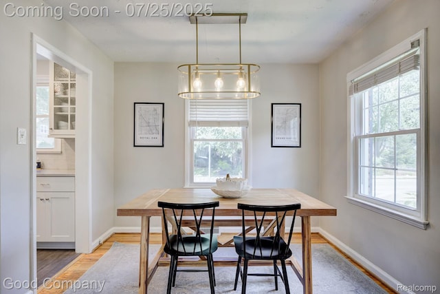 921 N Alexander Ave, Royal Oak, MI 48067 - photo 9