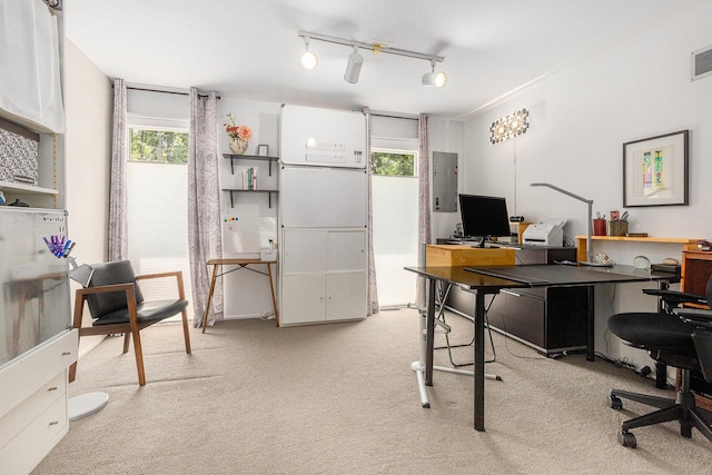1402 Bardstown Trl, Ann Arbor, MI 48105 - photo 25