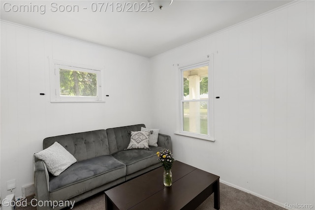 1489 Woodward Hts, Ferndale, MI 48220 - photo 7