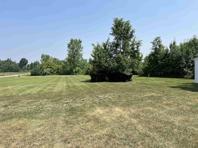 1569 N Rollin Hwy, Hudson, MI 49247 - view of green lawn