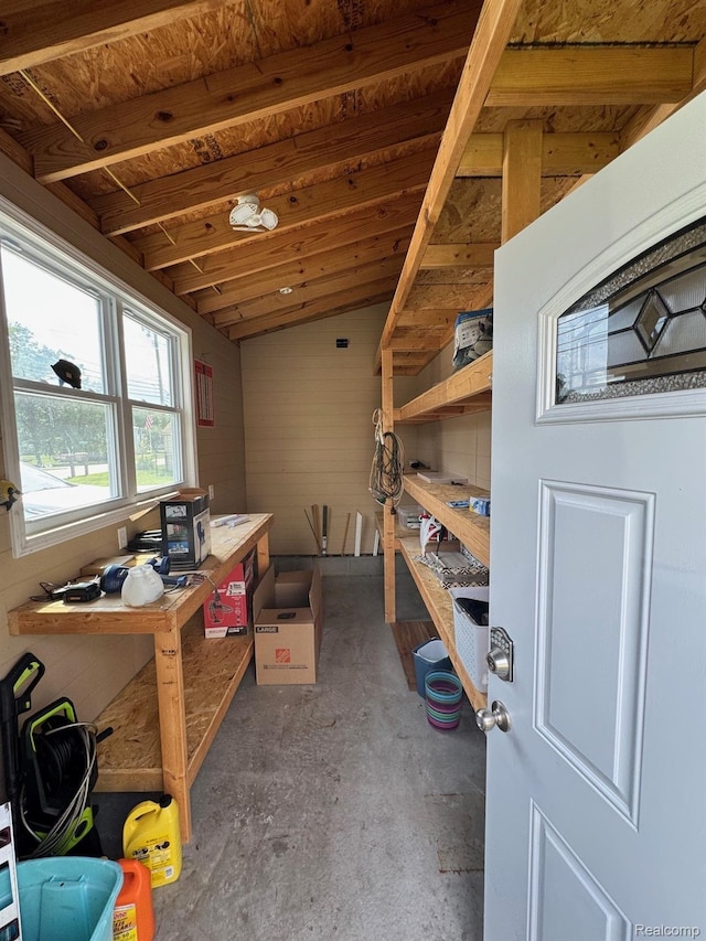 677 King Cir, Lake Orion, MI 48362 - view of storage room