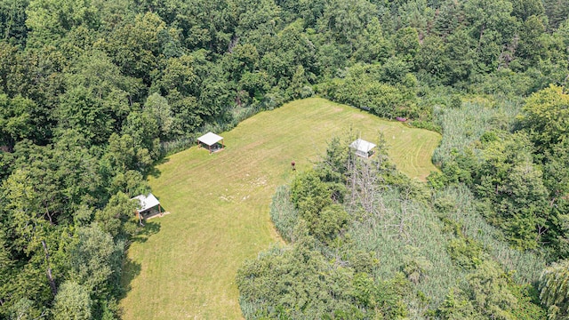 5755 Willis Rd, Ypsilanti, MI 48197 - photo 30