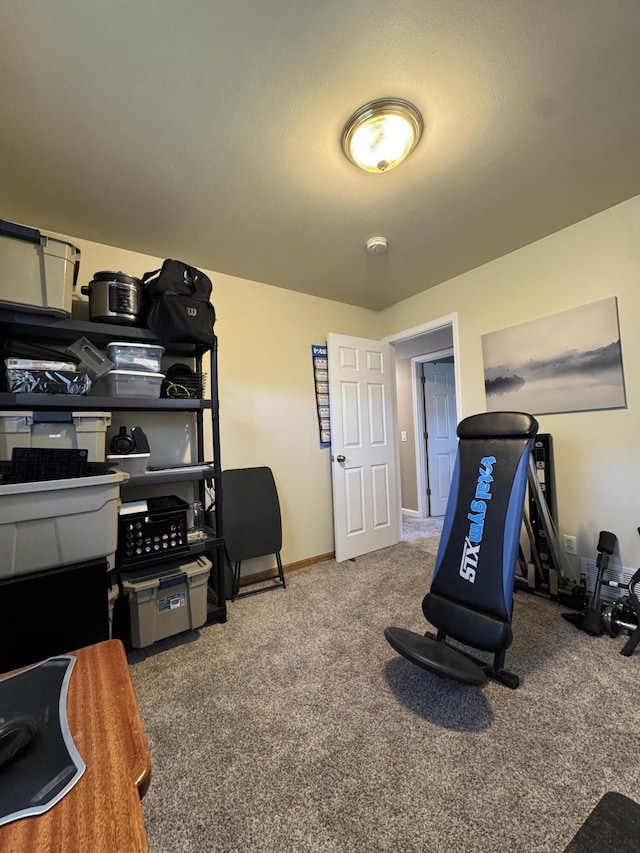 39909 Bridgeview St, Harrison Township, MI 48045 - exercise area with carpet and baseboards